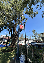 smart pole light - 14 project
